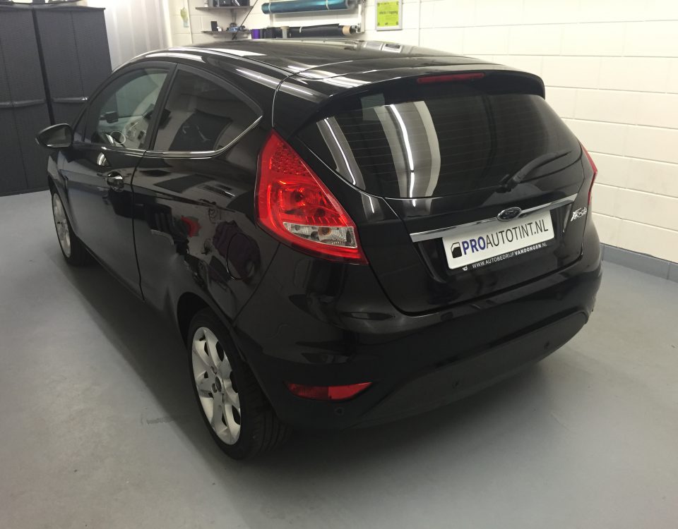 Ford Fiesta ramen blinderen