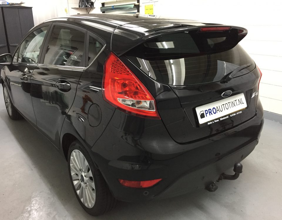 Ford Fiesta ramen blinderen