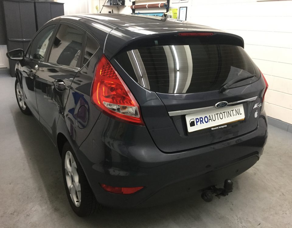 Ford Fiesta ramen blinderen