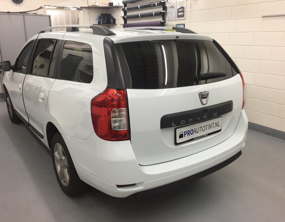 Dacia Logan ramen blinderen