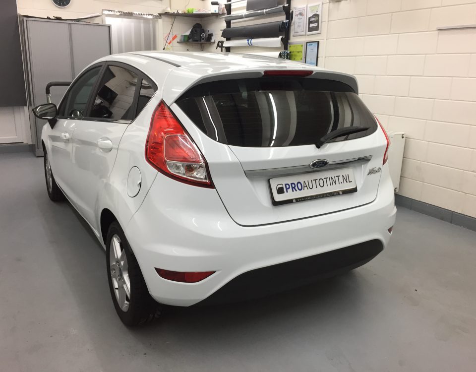 Ford Fiesta ramen blinderen