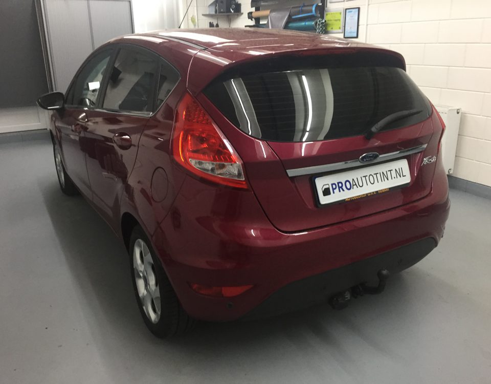 Ford Fiesta ramen blinderen