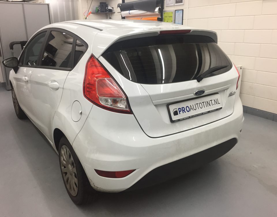 Ford Fiesta ramen blinderen