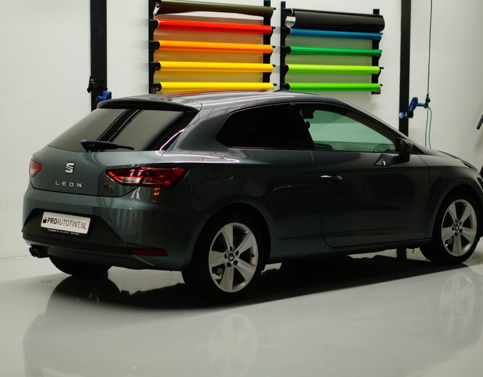 Seat Leon FR tinten