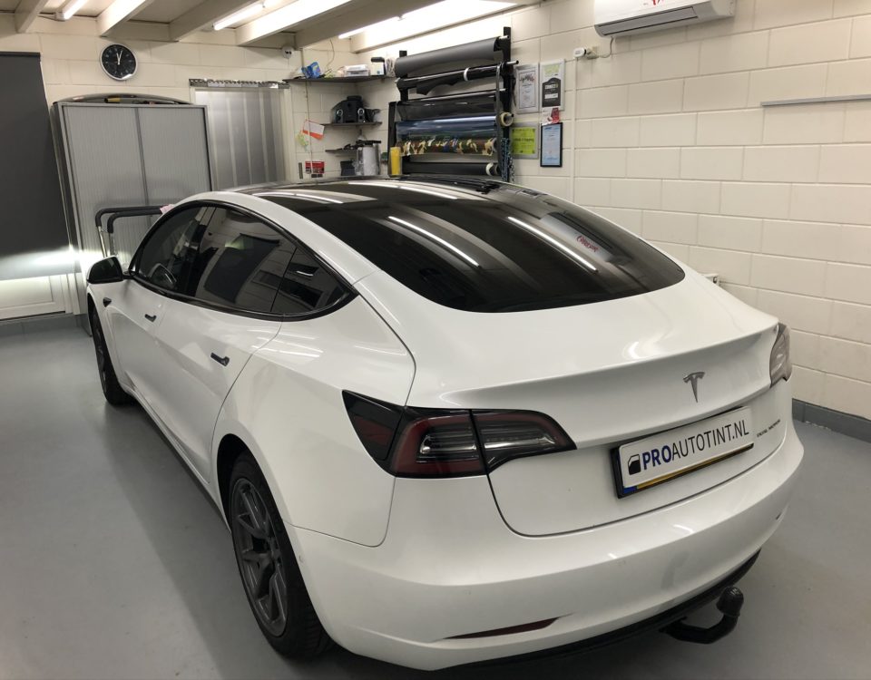 Tesla Model 3 tinten