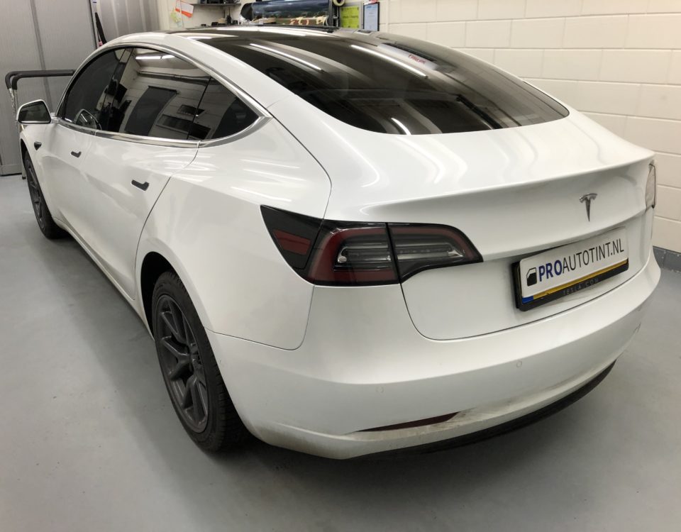 Tesla Model 3 tinten