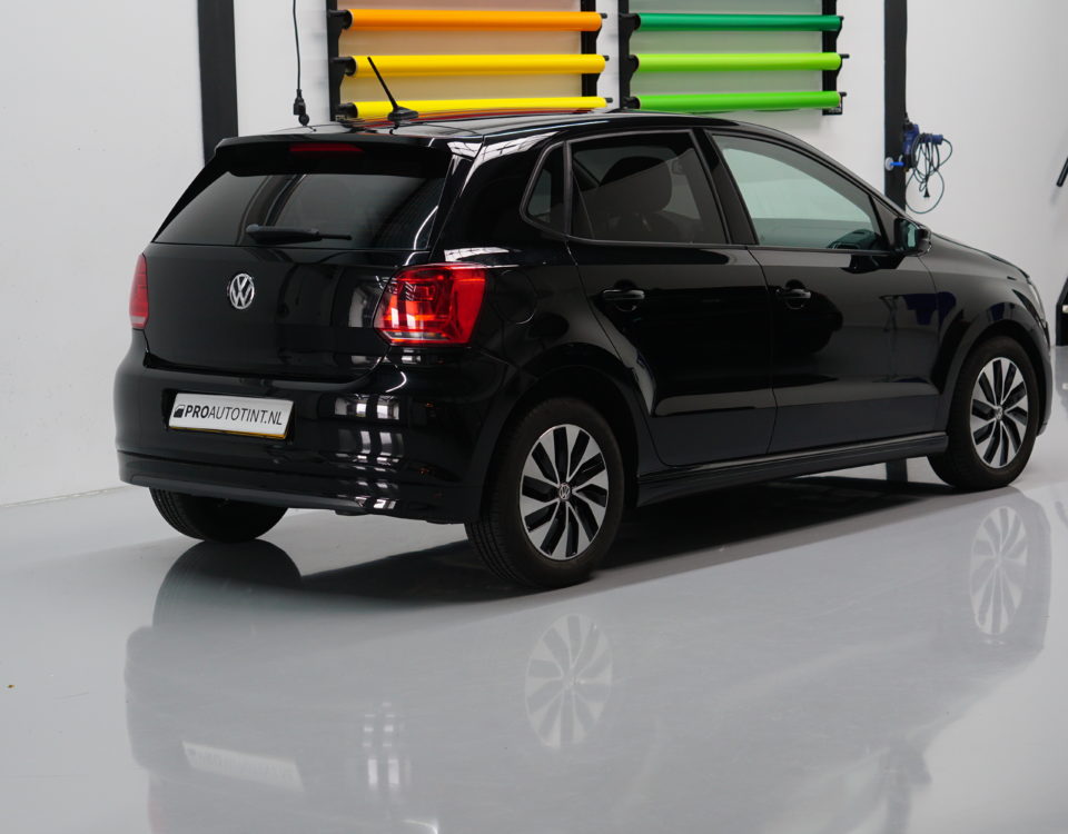 Volkswagen Polo tinten