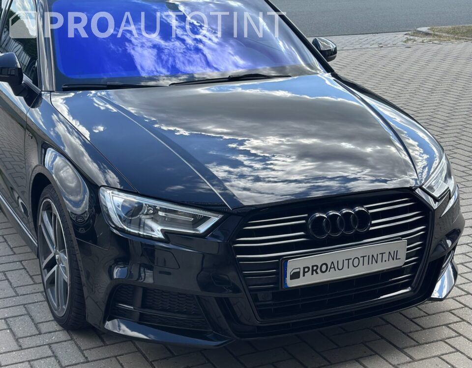 Chameleon folie / lava ruit